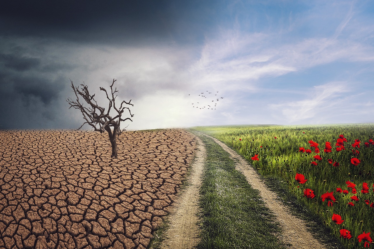 Projekt klimatyczny „Local Climate Stories”